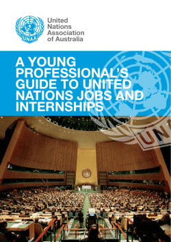 a young professional`s guide to united nations jobs and internships