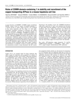 Roles of COMM-domain-containing 1 in stability and recruitment of