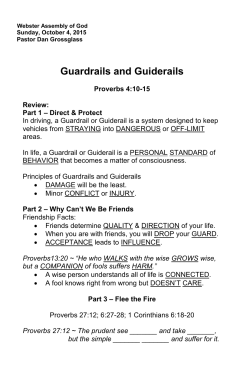 Guardrails and Guiderails