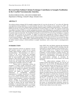 Reversed State Sodium-Calcium Exchanger Contributes to Synaptic