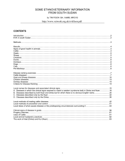 SOME ETHNOVETERINARY INFORMATION FROM SOUTH SUDAN