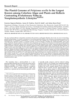 The Plastid Genome of