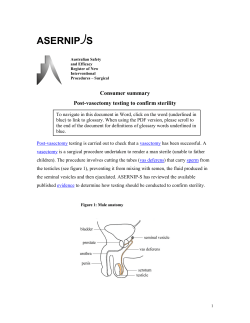 asernip s