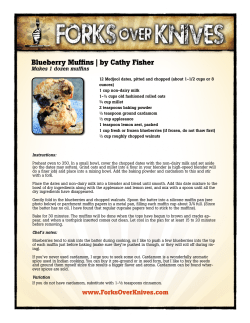 Blueberry Muffins - Forks Over Knives