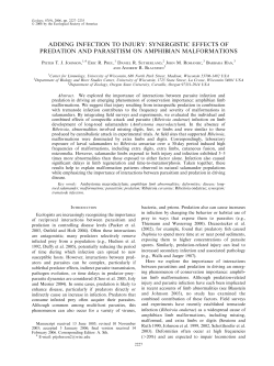 adding infection to injury: synergistic effects of predation and