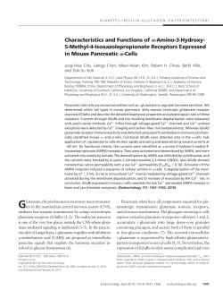 Characteristics and Functions of -Amino-3-Hydroxy- 5-Methyl