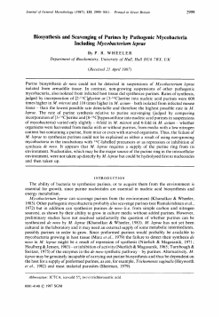 Biosynthesis and Scavenging of Purines by