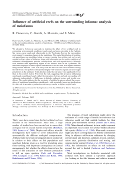 Influence of artificial reefs on the surrounding infauna: analysis of