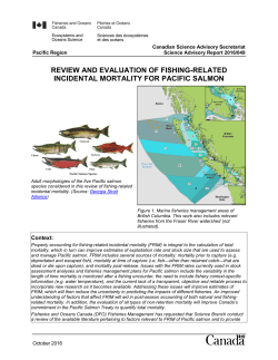 Complete PDF document