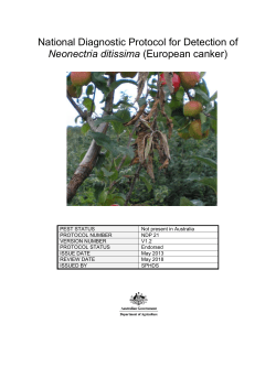 European canker - National Plant Biosecurity Diagnostic Network