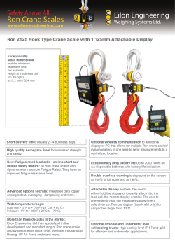 Hook Type Crane Scale