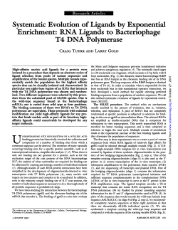 Systematic Evolution of Ligands by Exponential Enrichment: RNA