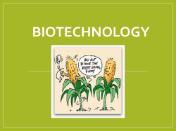 Biotechnology Notes