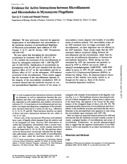 Evidence for Active Interactions between Microfilaments and