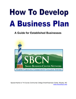 Business Plan for an Established Business