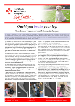 Ouch! you broke your leg. - Horsham Veterinary Hospital