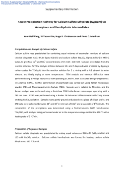 Supplementary Information A New Precipitation Pathway for