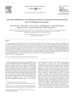 Isotopic labeling of recombinant proteins