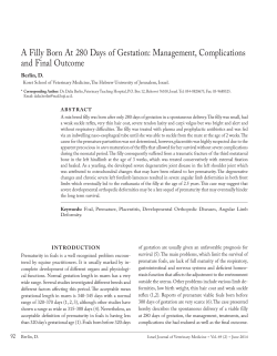 A Filly Born At 280 Days of Gestation: Management, Complications