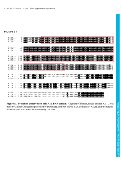 Supplementary information