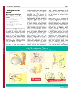 Cell Migration at a Glance - Journal of Cell Science
