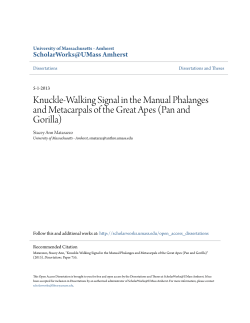 Knuckle-Walking Signal in the Manual Phalanges and Metacarpals