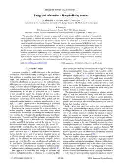 Energy and information in Hodgkin