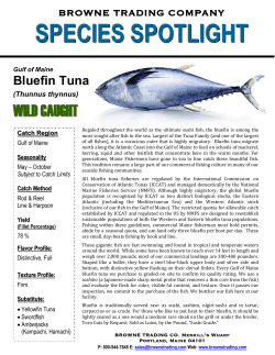 as pdf - Browne Trading