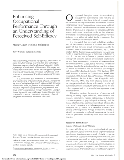 Enhancing Occupational Performance Through an Understanding of