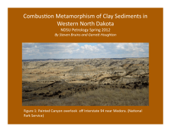 Combustion Metamorphism of Clay Sediments from