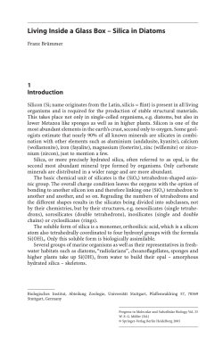 Living Inside a Glass Box &ndash; Silica in Diatoms