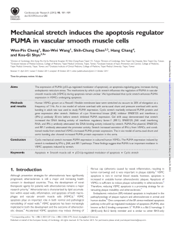 Mechanical stretch induces the apoptosis regulator PUMA in