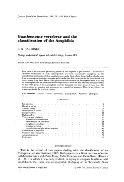 Gnathostome vertebrae and the classification of the Amphibia