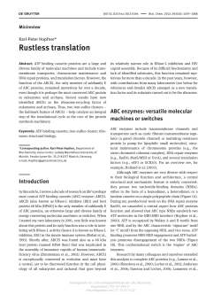 Rustless translation