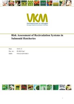 Risk Assessment of Recirculation Systems in Salmonid Hatcheries