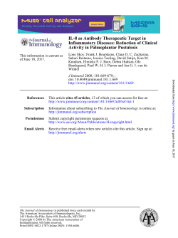 IL-8 As Antibody Therapeutic Target In Inﬂammatory Diseases