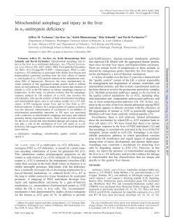 Mitochondrial autophagy and injury in the liver in 1
