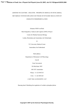 adenine nucleotide - creatine - phosphate module in - AJP-Cell