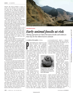 Early animal fossils at risk