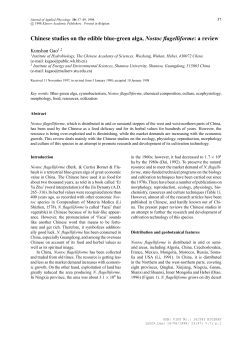 Chinese studies on the edible blue-green alga, Nostoc flagelliforme