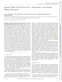 Dynamic Model of the Octopus Arm. I. Biomechanics of the Octopus