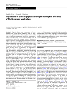 Implications of opposite phyllotaxis for light interception efficiency of