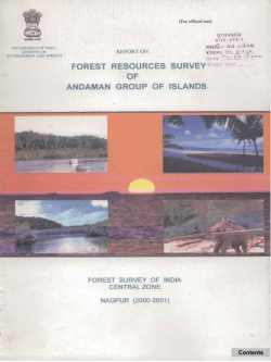 andaman group of islands