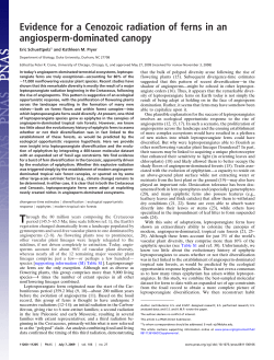 Evidence for a Cenozoic radiation of ferns - Kathleen Pryer