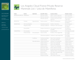 Cloud Forest Reserve Mammals List
