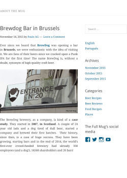 The Full Mug - Brewdog Brussels