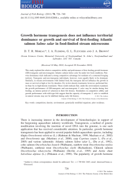 Growth hormone transgenesis does not influence territorial