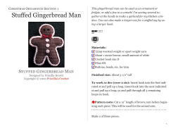 Stuffed Gingerbread Man