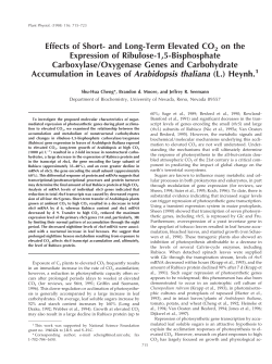 and Long-Term Elevated CO2 on the Expression of Ribulose