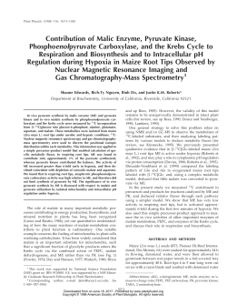 Contribution of Malic Enzyme, Pyruvate Kinase